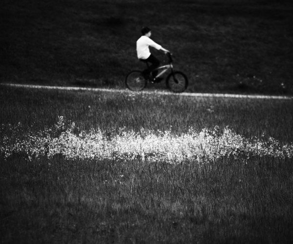 Photograph Andreas Kauppi Summer Days on One Eyeland